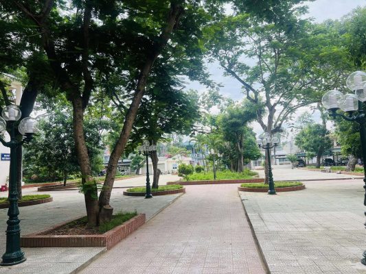 Có những ngôi trường không chỉ dạy một nghề, mà còn dạy cách trưởng thành