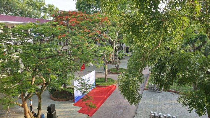 Sân trường hôm nay vẫn nắng, vẫn xanh… nhưng lòng người thì bỗng chùng xuống một nhịp.